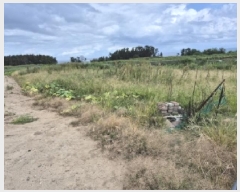  2025Ÿ��477  �����