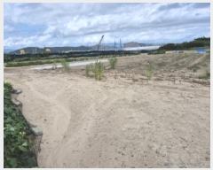  2025Ÿ��477  �����