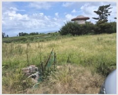  2025Ÿ��477  �����