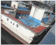  2025Ÿ��577  ���ڰ��