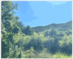  2025Ÿ3668  ׽ ϱ ϸ ⸮ 38-8     (Ӿ)