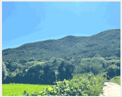  2025Ÿ3668  ׽ ϱ ϸ ⸮ 38-8     (Ӿ)