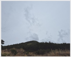  2025Ÿ3668  ׽ ϱ ϸ ⸮ 38-8     (Ӿ)