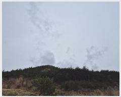  2025Ÿ3668  ׽ ϱ ϸ ⸮ 38-8     (Ӿ)