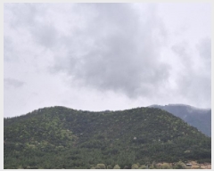  2025Ÿ3668  ׽ ϱ ϸ ⸮ 38-8     (Ӿ)