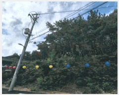  2025Ÿ3734  ׽ ϱ   23-38     (Ӿ)