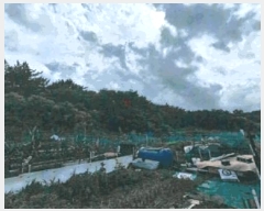  2025Ÿ3734  ׽ ϱ   23-38     (Ӿ)