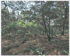  2025Ÿ3734  ׽ ϱ   23-38     (Ӿ)