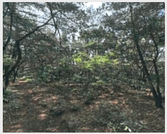  2025Ÿ3734  ׽ ϱ   23-38     (Ӿ)