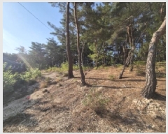  2025Ÿ3734  ׽ ϱ   23-38     (Ӿ)