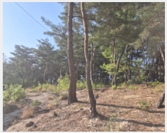  2025Ÿ3734  ׽ ϱ   23-38     (Ӿ)