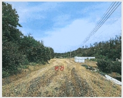  2025Ÿ3811  ׽  ȣ̰  280-1     (1)