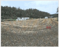  2025Ÿ3811  ׽  ȣ̰  280-1     (1)