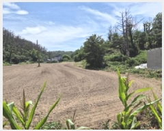  2025Ÿ3811  ׽  ȣ̰  280-1     (1)