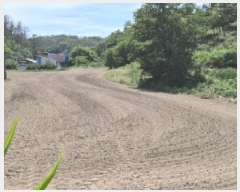  2025Ÿ3811  ׽  ȣ̰  280-1     (1)