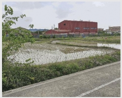  2025Ÿ3816  ׽  õ 踮 642-2     ()