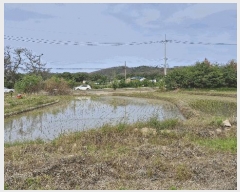  2025Ÿ3816  ׽  õ 踮 642-2     ()