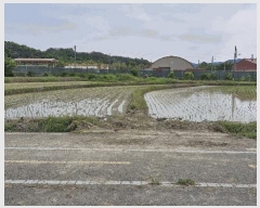  2025Ÿ3816  ׽  õ 踮 642-2     ()