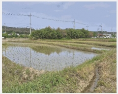  2025Ÿ3816  ׽  õ 踮 642-2     ()