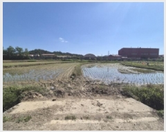  2025Ÿ3816  ׽  õ 踮 642-2     ()