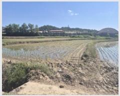  2025Ÿ3816  ׽  õ 踮 642-2     ()