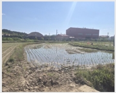  2025Ÿ3816  ׽  õ 踮 642-2     ()