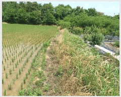  2025Ÿ��3836  ����