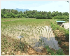  2025Ÿ��3836  ����