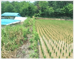  2025Ÿ��3836  ����