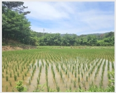  2025Ÿ��3836  ����