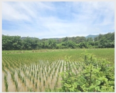  2025Ÿ��3836  ����