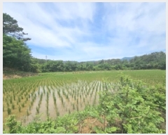  2025Ÿ��3836  ����