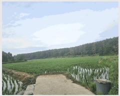  2025Ÿ��3846 ��� ���׽� �ϱ� ������ ���帮 956-4     ����(��)���