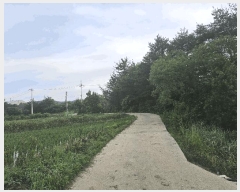  2025Ÿ��3846 ��� ���׽� �ϱ� ������ ���帮 956-4     ����(��)���