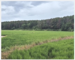  2025Ÿ��3846 ��� ���׽� �ϱ� ������ ���帮 956-4     ����(��)���