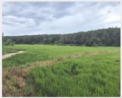  2025Ÿ��3846 ��� ���׽� �ϱ� ������ ���帮 956-4     ����(��)���