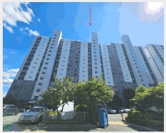  2025Ÿ��3861  ����Ʈ���