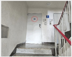  2025Ÿ��3861  ����Ʈ���