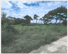  2025Ÿ��3866 ��� ���׽� ���� ��õ�� ���踮 698-4     ����(������)���