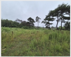  2025Ÿ��3866 ��� ���׽� ���� ��õ�� ���踮 698-4     ����(������)���