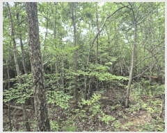  2025Ÿ��3871 ��� ���׽� �ϱ� �۶�� ������ 215     ����(��1)���