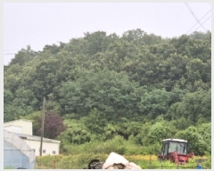  2025Ÿ��3871 ��� ���׽� �ϱ� �۶�� ������ 215     ����(��1)���