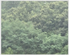  2025Ÿ��3871 ��� ���׽� �ϱ� �۶�� ������ 215     ����(��1)���