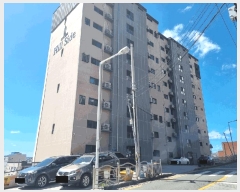  2025Ÿ��3921  ����Ʈ���