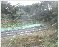  2025Ÿ��3931 ��� ���׽� �ϱ� �ű��� �ȴ��� 992     ����(��)���