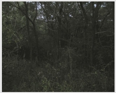  2025Ÿ��3931 ��� ���׽� �ϱ� �ű��� �ȴ��� 992     ����(��)���