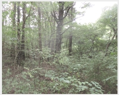  2025Ÿ��3931 ��� ���׽� �ϱ� �ű��� �ȴ��� 992     ����(��)���