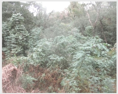  2025Ÿ��3931 ��� ���׽� �ϱ� �ű��� �ȴ��� 992     ����(��)���