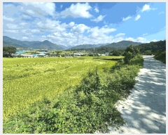  2025Ÿ��3952 ��� ���׽� �ϱ� ��ϸ� �� 527-2     ����(��)���