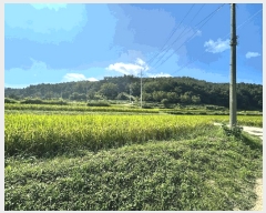  2025Ÿ��3952 ��� ���׽� �ϱ� ��ϸ� �� 527-2     ����(��)���